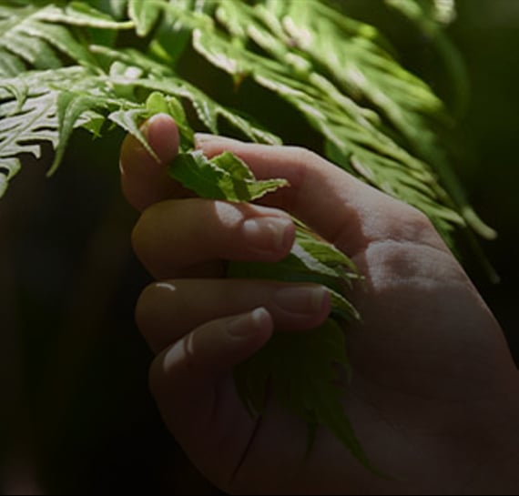 Finding the greenest generation