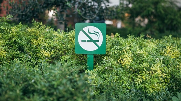 Life insurance for smokers