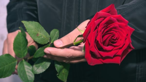 Man at mourning ceremony holding a rose