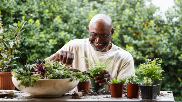 Mature man enjoying potting plants